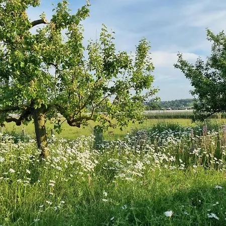 Hotell Vorgebirgsblick Ruhige Gaestezimmer Mit Self-check-in Bornheim (Rheinland)