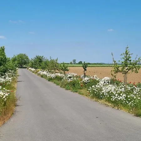 Vorgebirgsblick Ruhige Gaestezimmer Mit Self-check-in *