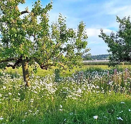Отель Vorgebirgsblick Gaestezimmer Mit Self-Checkin Борнхайм