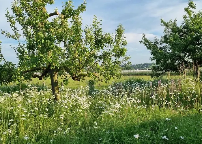 Hotel Vorgebirgsblick Ruhige Gaestezimmer Mit Self-check-in Bornheim (Rheinland)