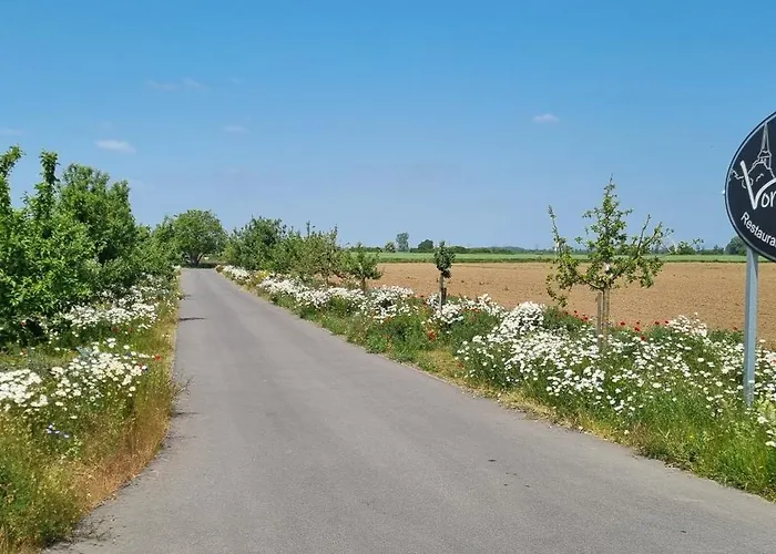 Vorgebirgsblick Ruhige Gaestezimmer Mit Self-check-in *